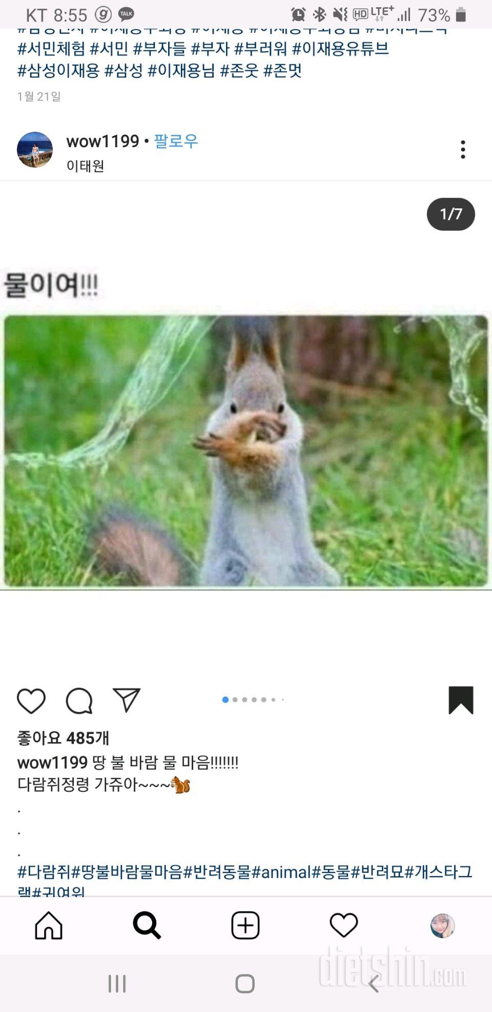 다람쥐여