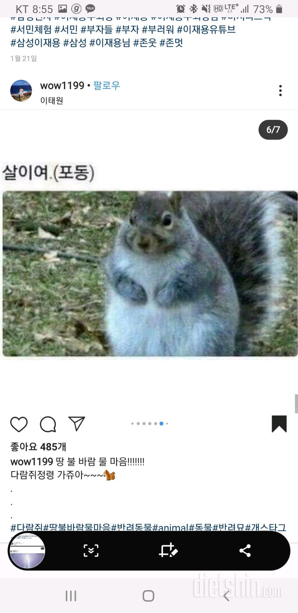 다람쥐여