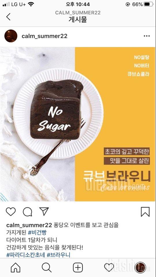 초코빵 성애자에게 체험단의 기회를!!