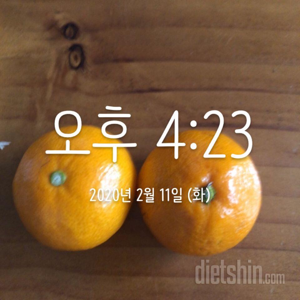 [다신 15기 식단미션] 3일차