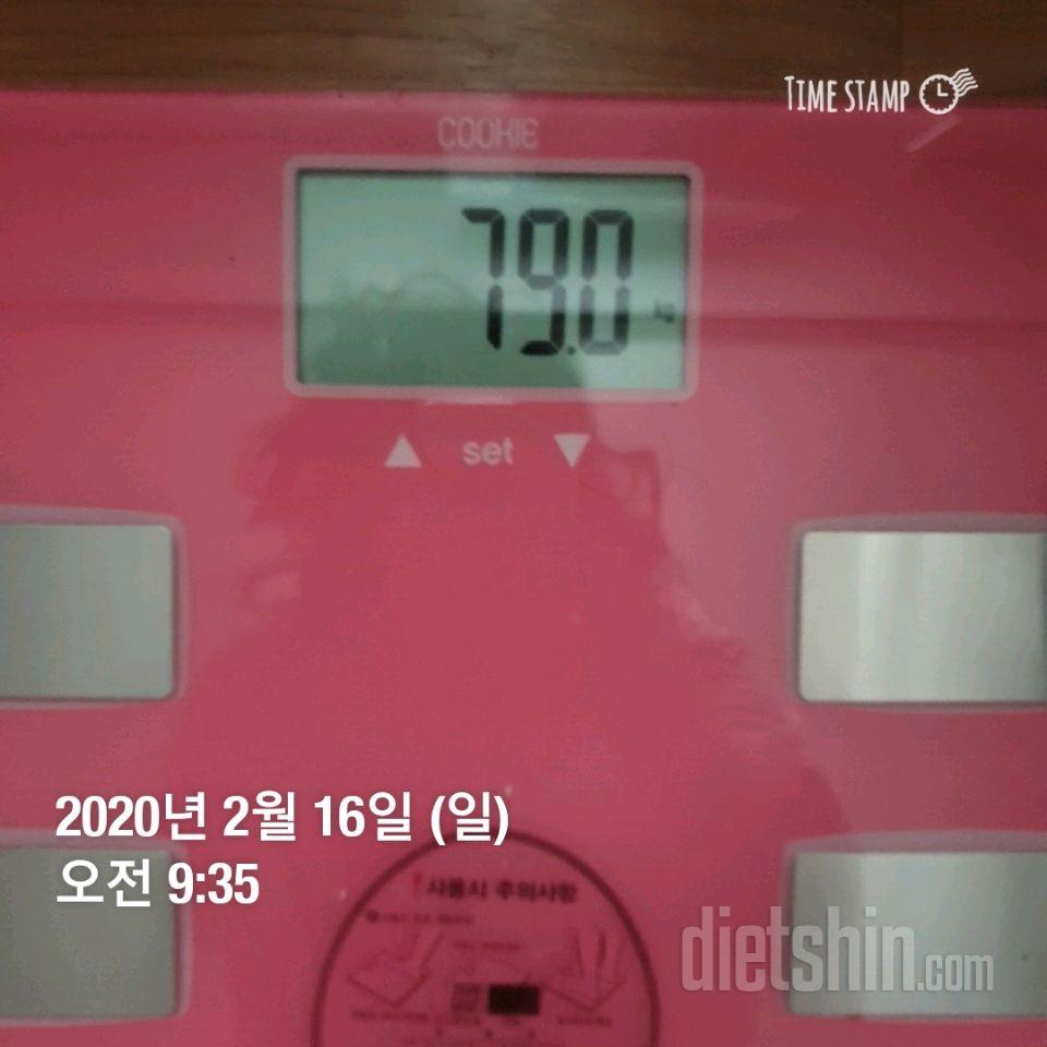 2월16일(일)공체