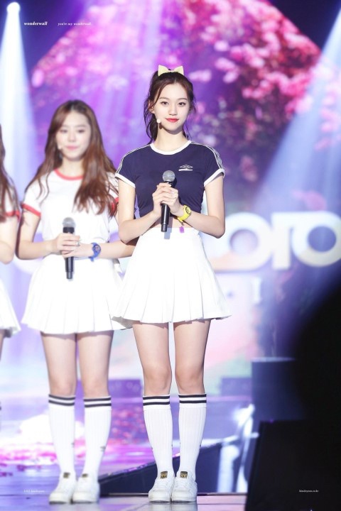 김도연