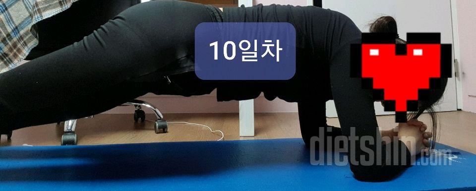 [다신 15기 운동미션] 10일차