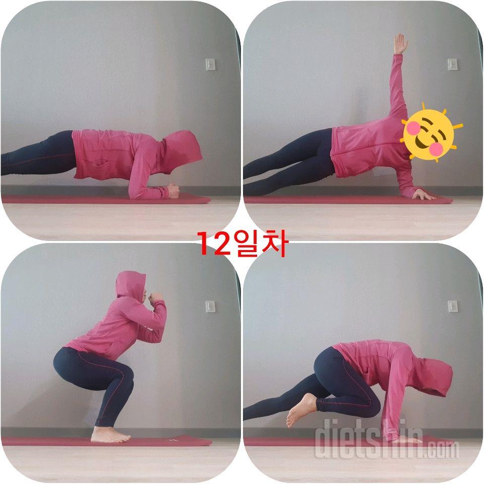 [다신 15기 운동 미션]12일차