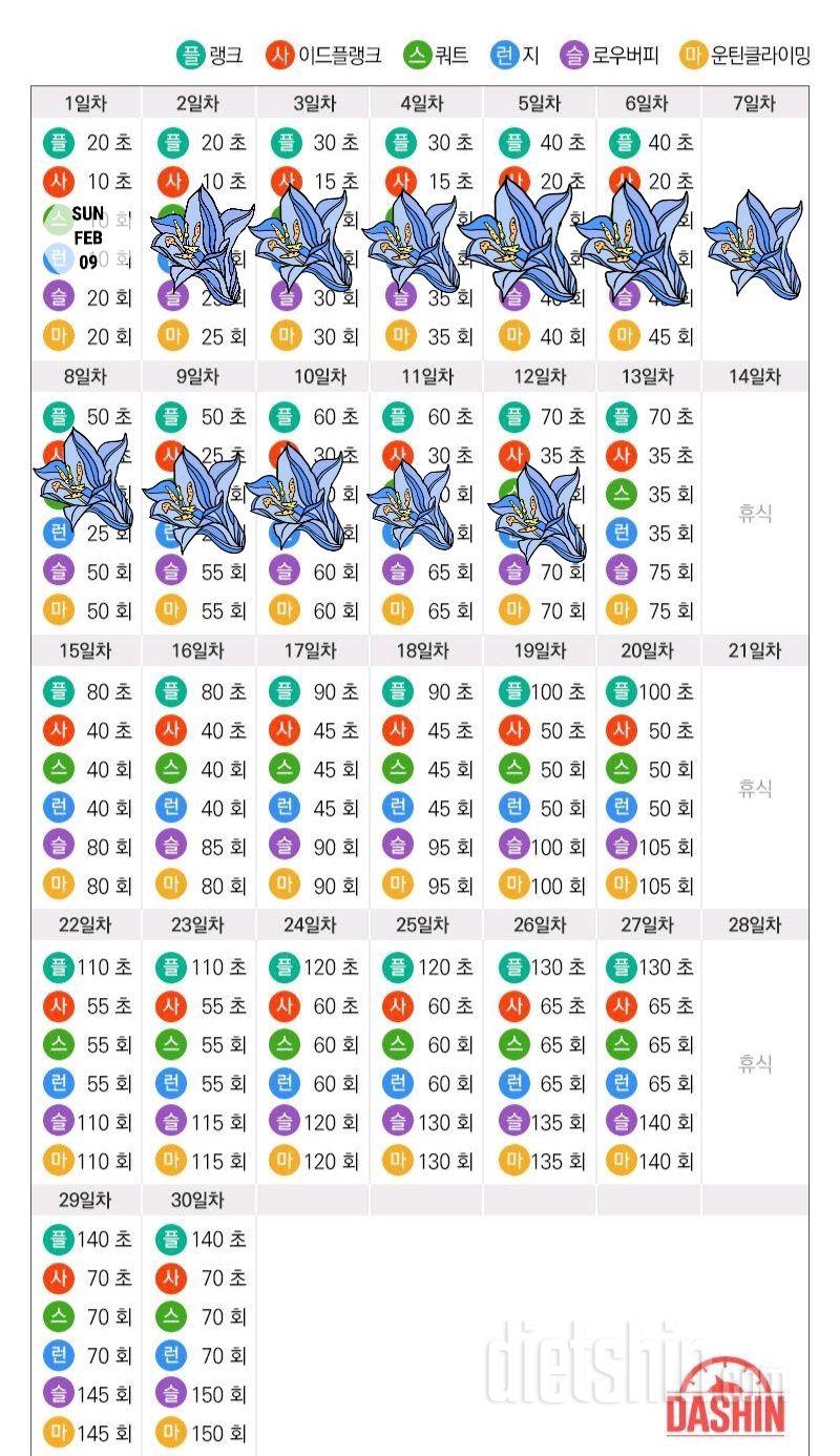 [다신 15기 운동미션] 12일차