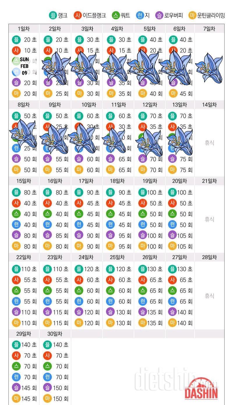 [다신 15기 운동미션] 13일차