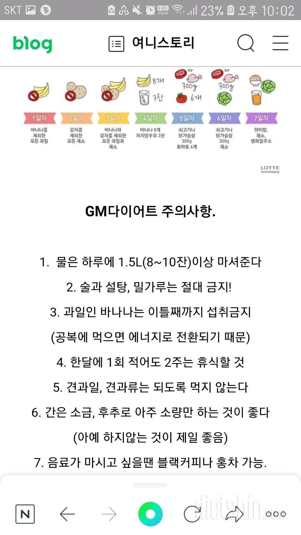 GM 다이어트