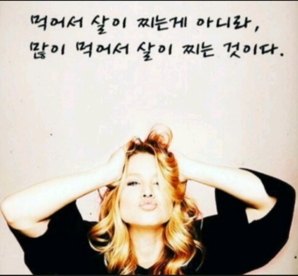 다이어트 명언1