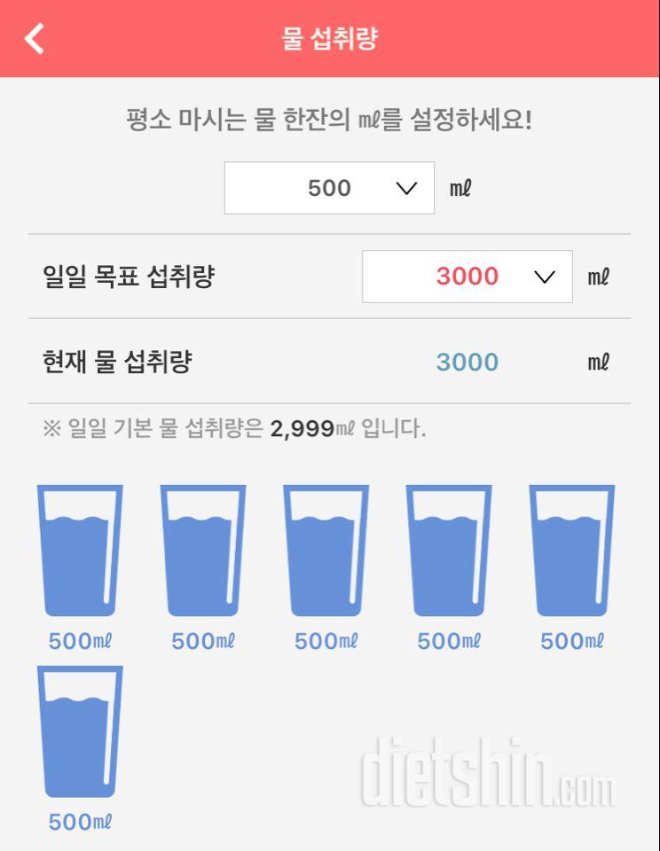 30일 하루 2L 물마시기 29일차 성공!