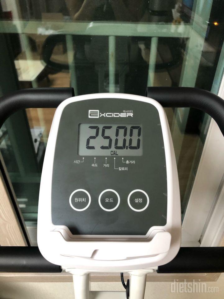 03월 07일(운동 250kcal)