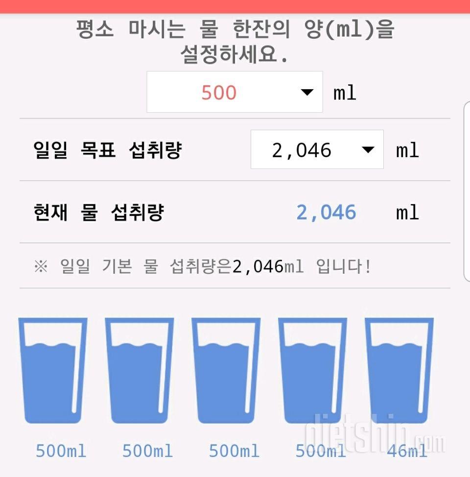 30일 하루 2L 물마시기 452일차 성공!