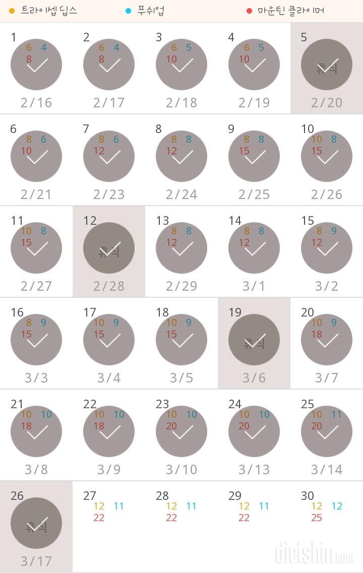 30일 슬림한 팔 356일차 성공!