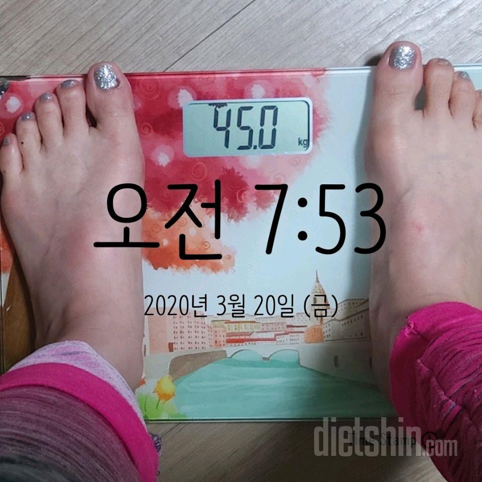 30일 슬림한 팔 36일차 성공!