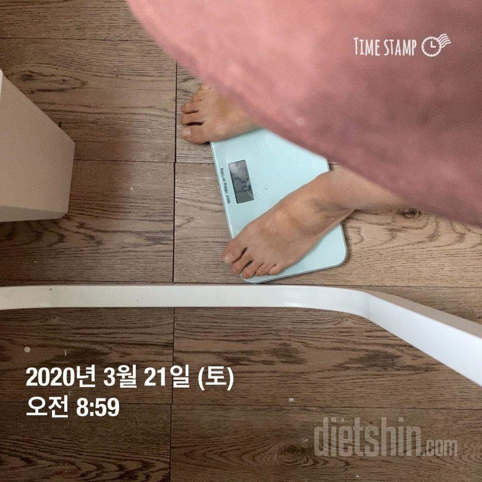 5일차 진행