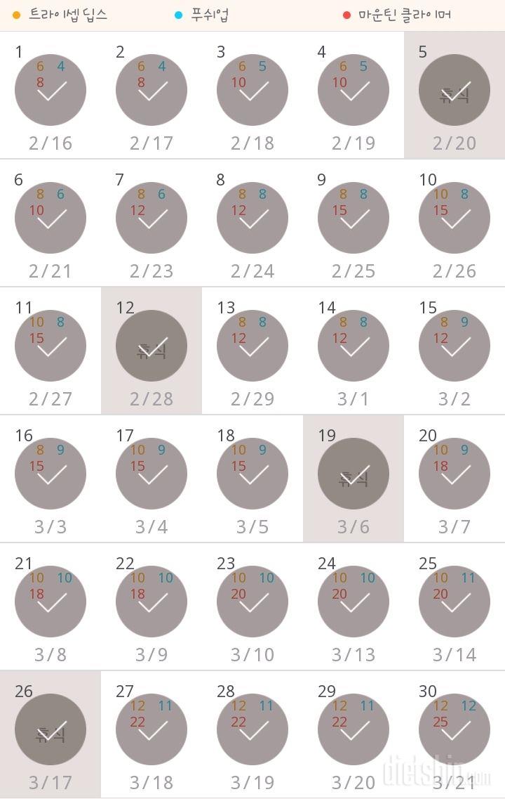 30일 슬림한 팔 360일차 성공!