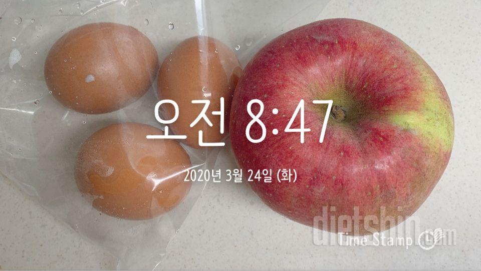 30일 아침먹기 2일차 성공!