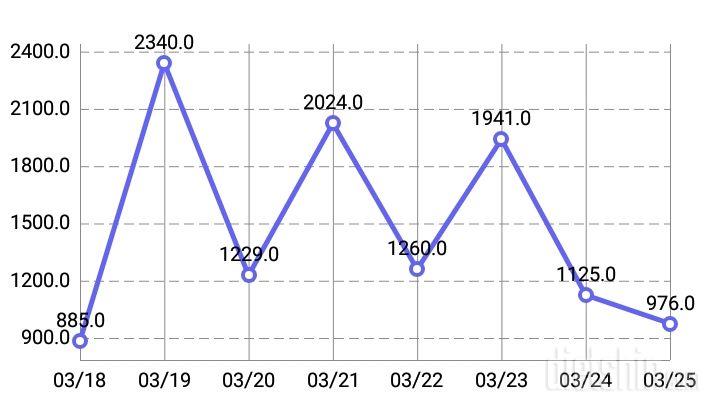 3.25일 점심