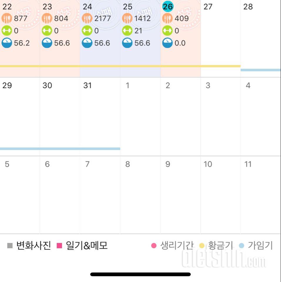 2주동안 식단으로 다이어트 도전🔥