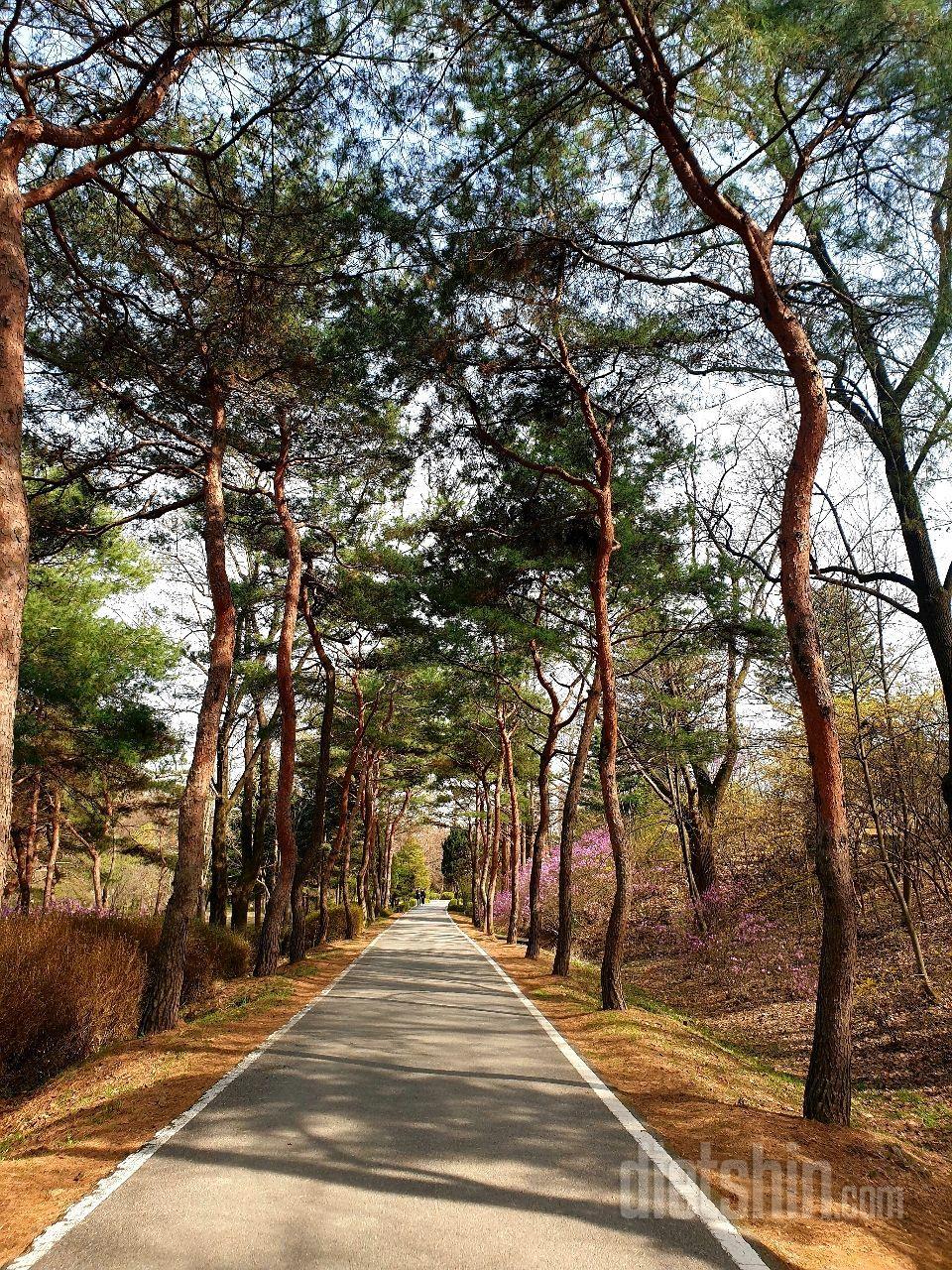 주말일상♡꽃나들이♡오산물향기수목원(1차)