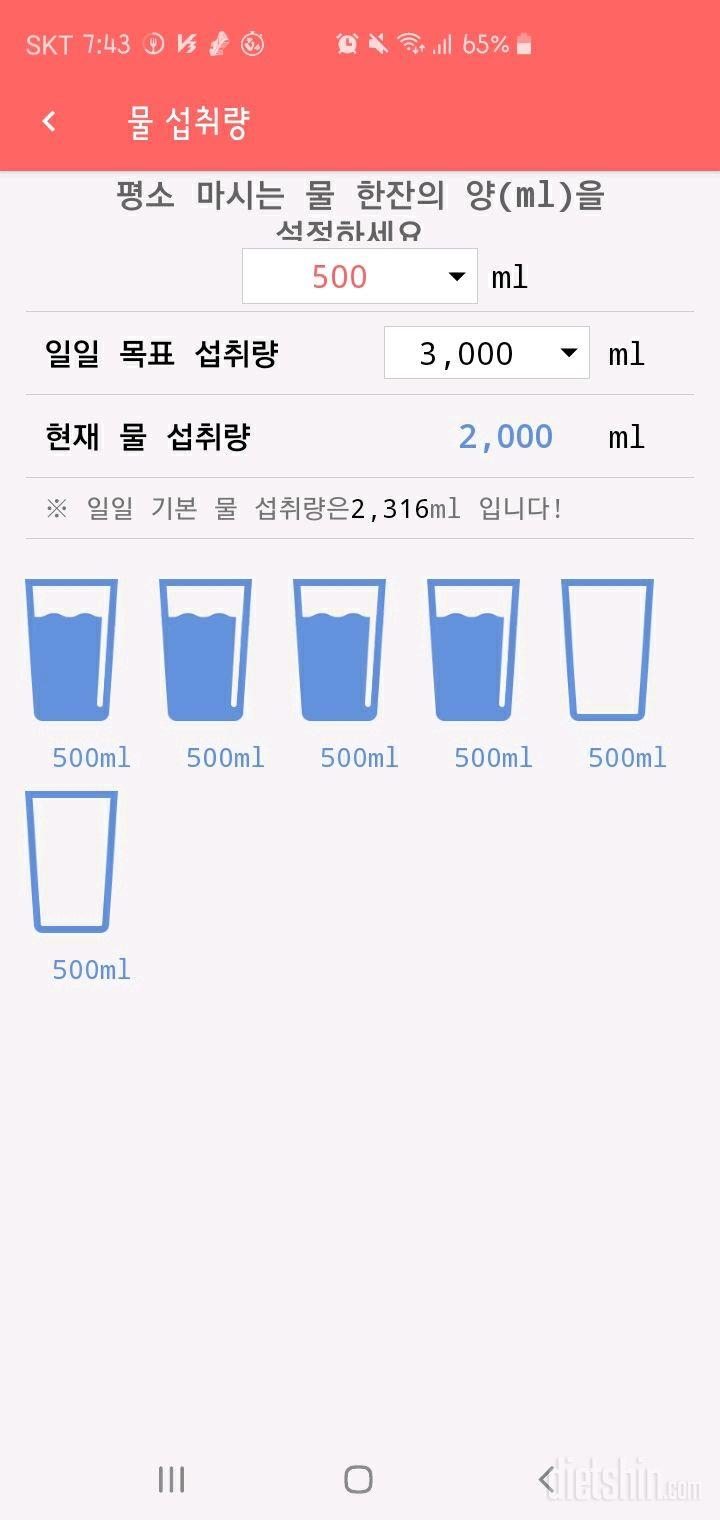 30일 하루 2L 물마시기 21일차 성공!