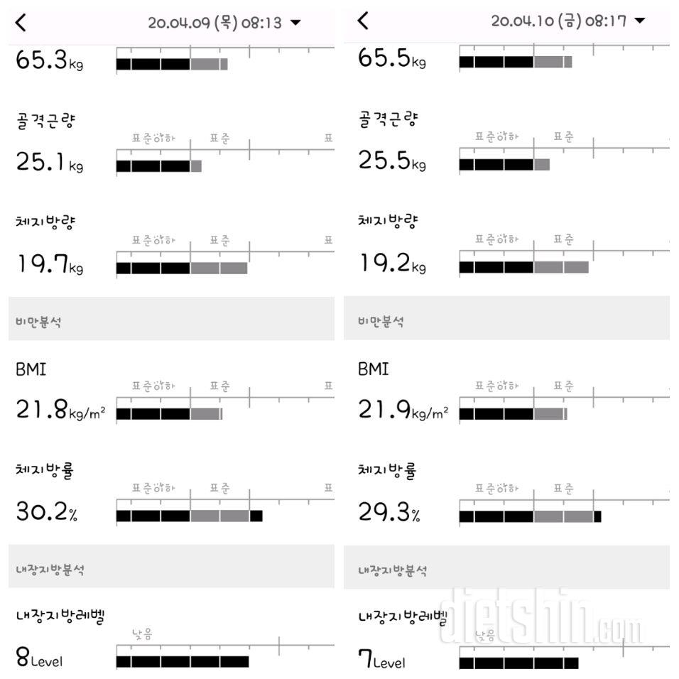 10일차 인바디