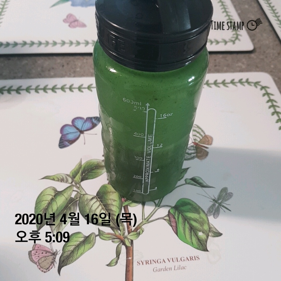 04월 16일( 저녁식사 169kcal)