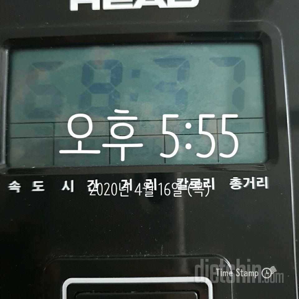 다신 새로 시작~*점심, 싸이클