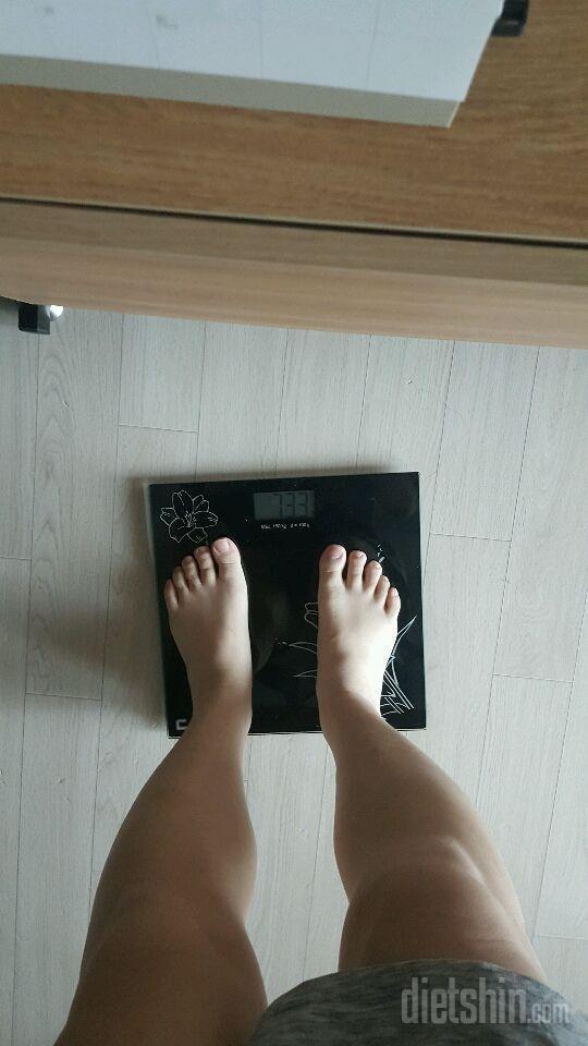 89kg->73kg 9개월 거북이 다이어터