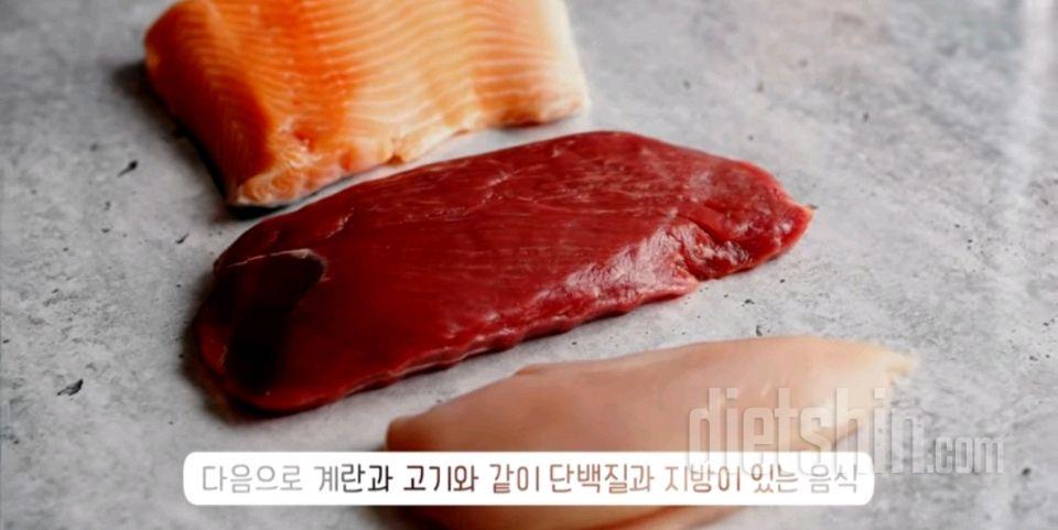 관심있는 다이어트 내용  참고