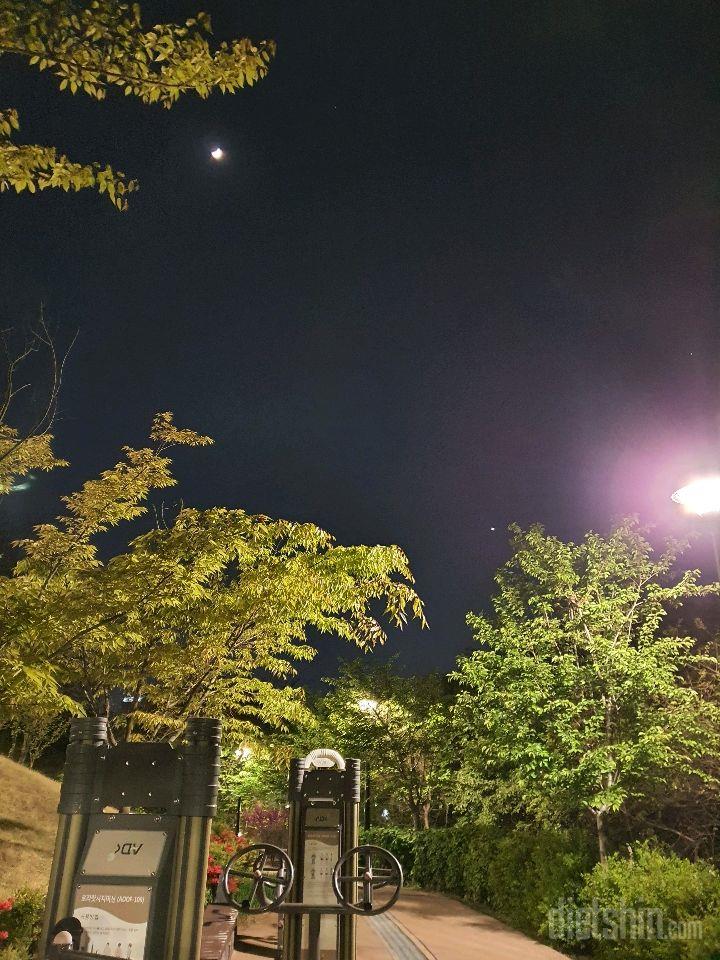 4.29 저녁, 산책