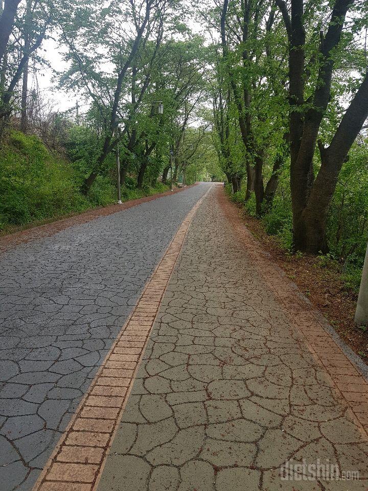 5.1.식사 및 만보걷기 인증샷요~