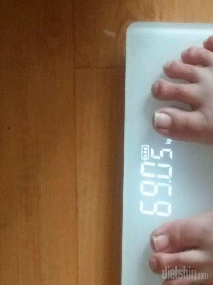 다이어트1일차 -0kg감량