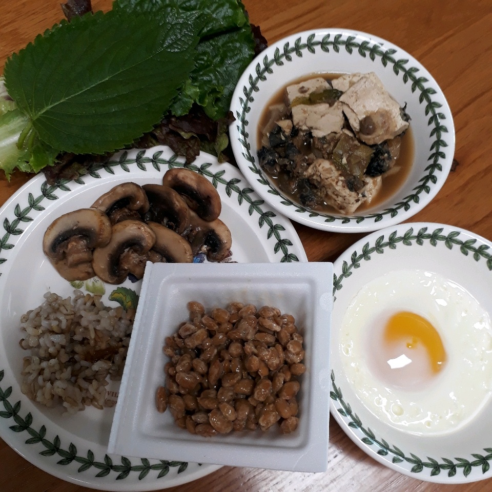 05월 06일( 아침식사 454kcal)