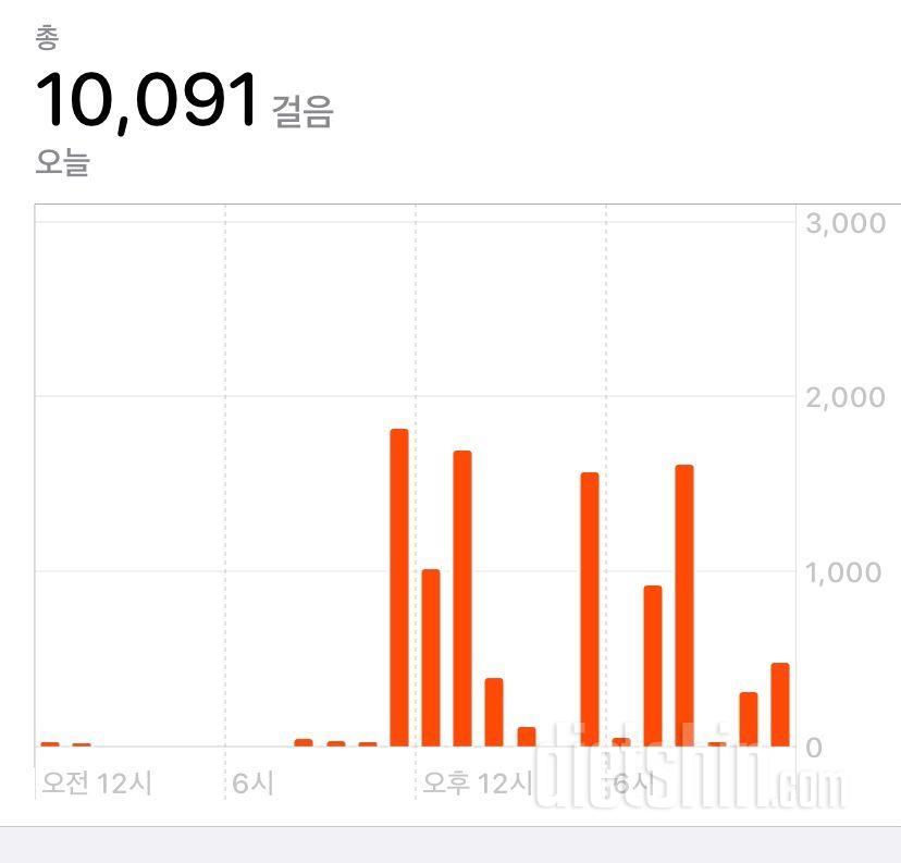 30일 만보 걷기 11일차 성공!