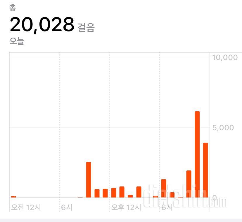 30일 만보 걷기 12일차 성공