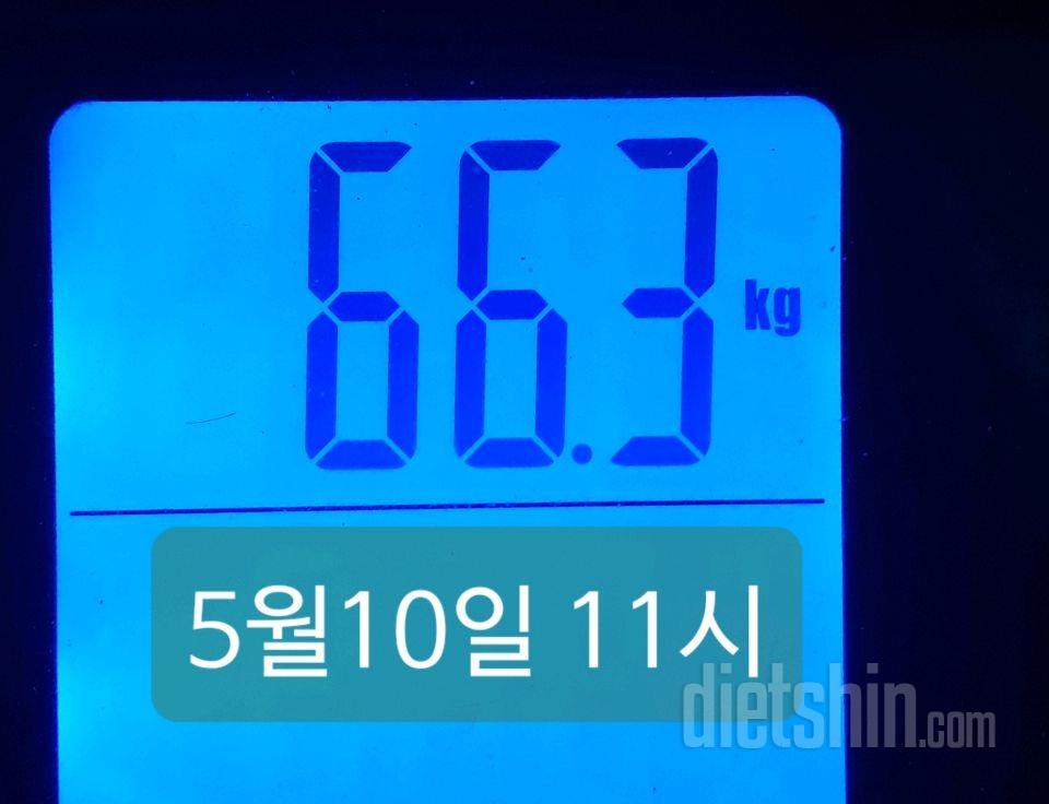 +0.5/66.3kg/오늘도 단식