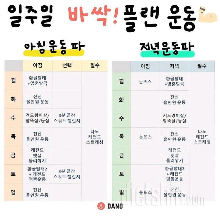 다이어트 잘하고 있는건지 중간점검 부탁드려요.