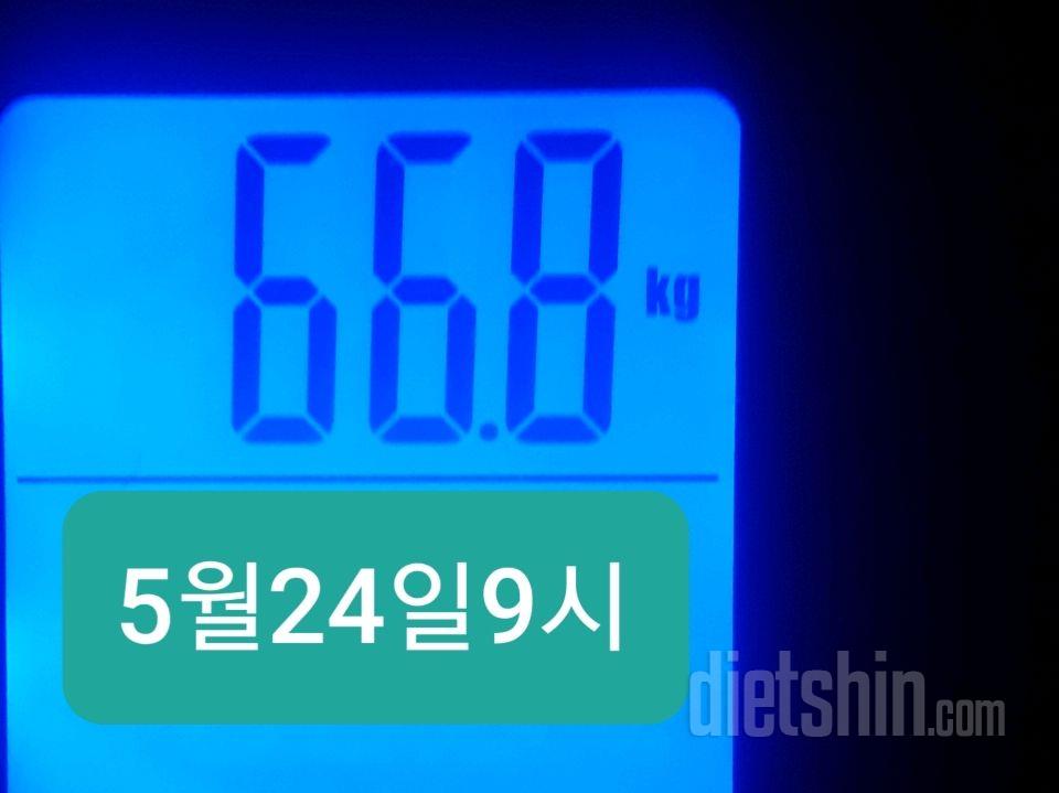 +0.3/66.8kg