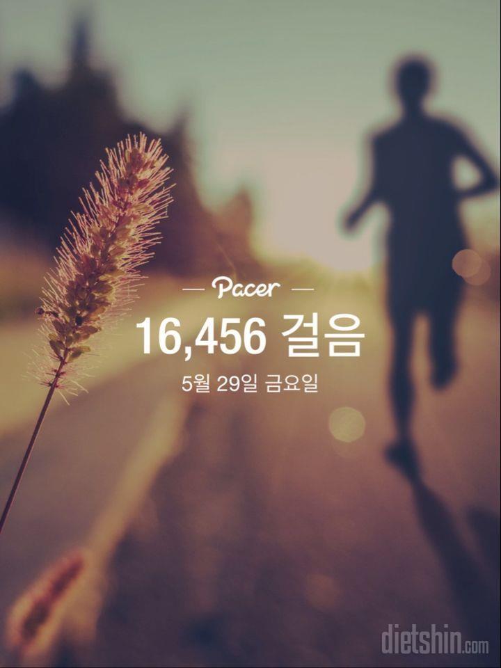 30일 만보 걷기 17일차 성공!