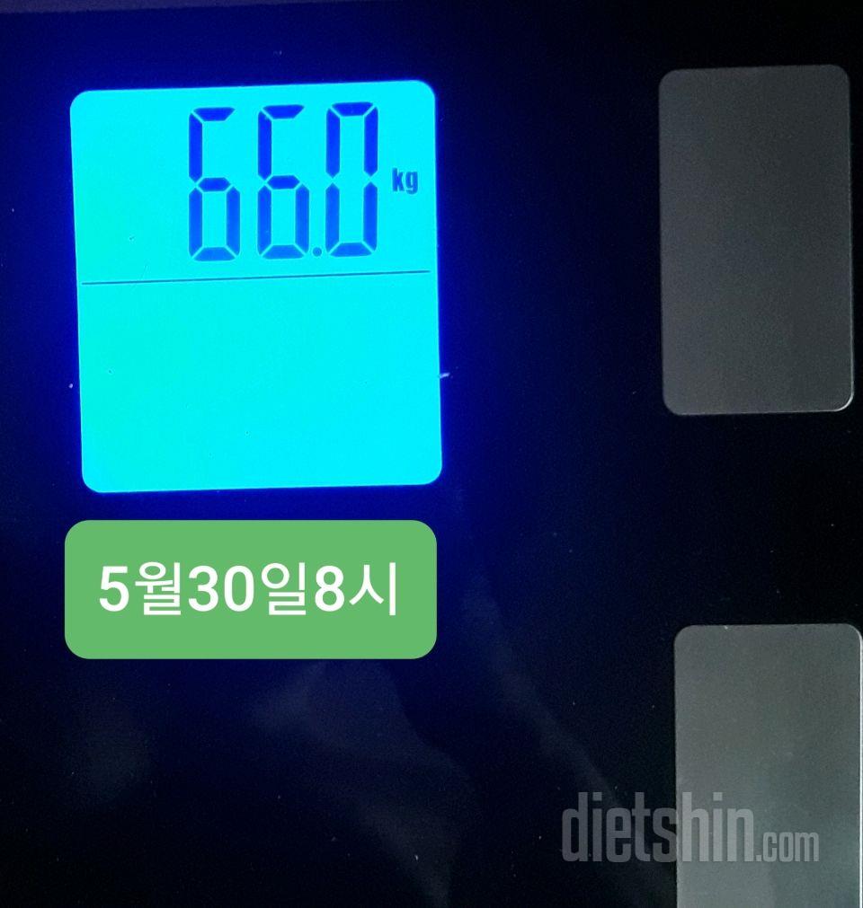 -0.3/66.0kg