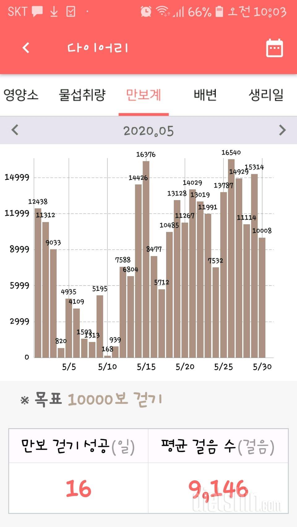 30일 만보 걷기 10일차 성공!