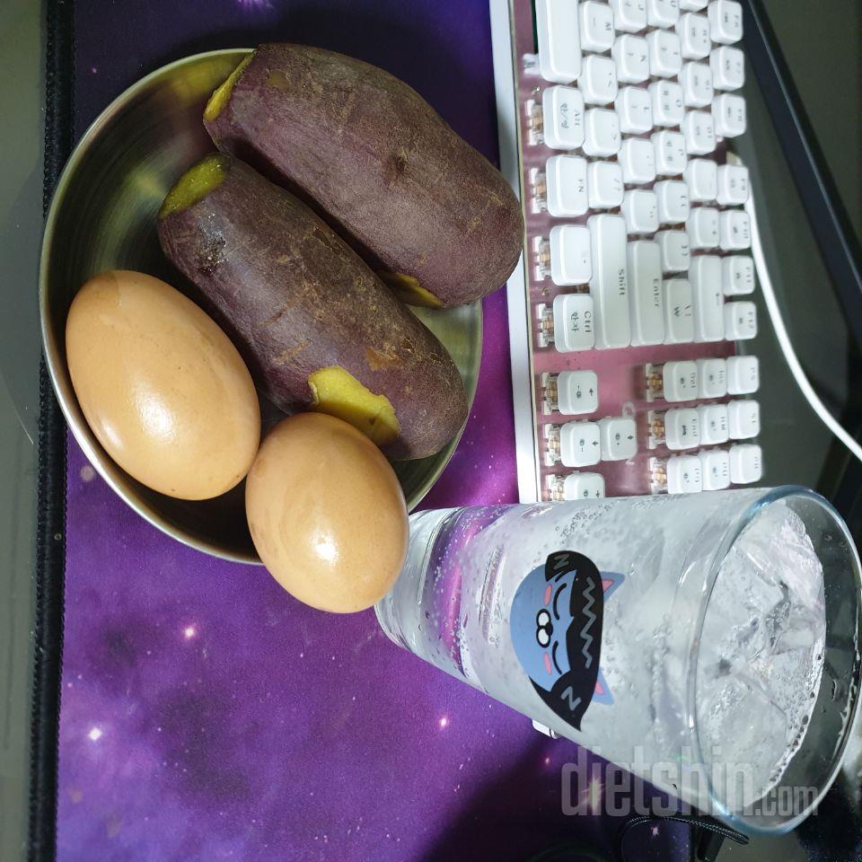 5일차 진행
