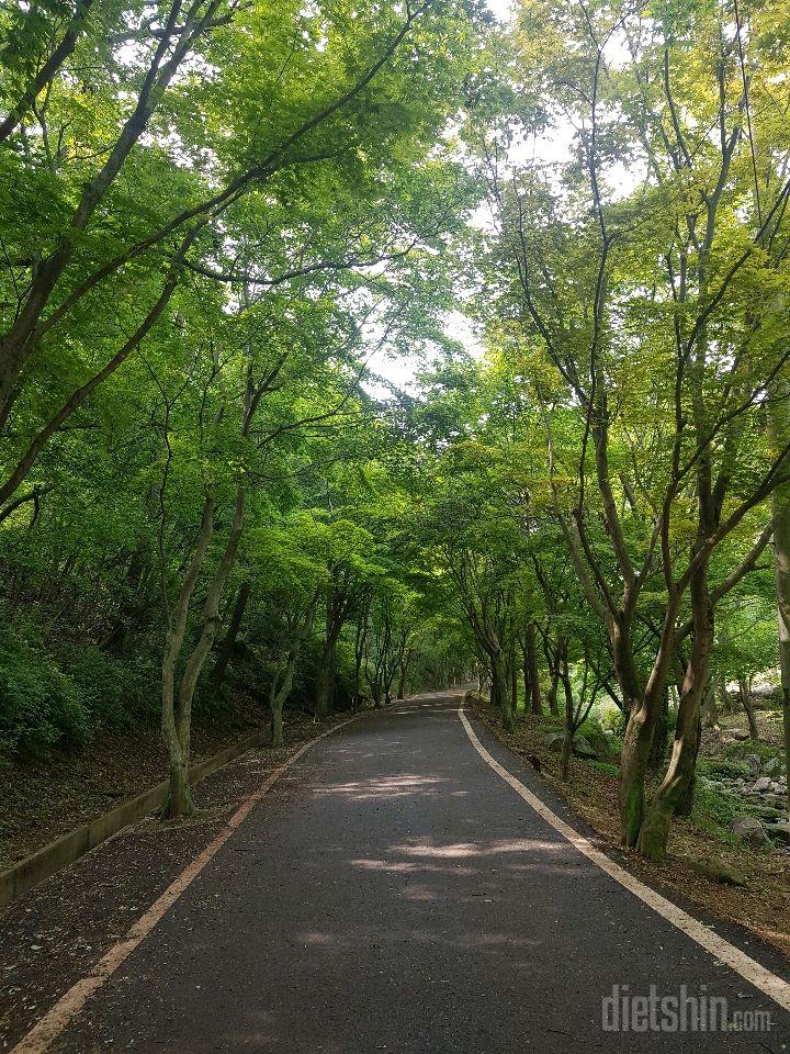 6.5.금욜 식사 및 운동사진요~