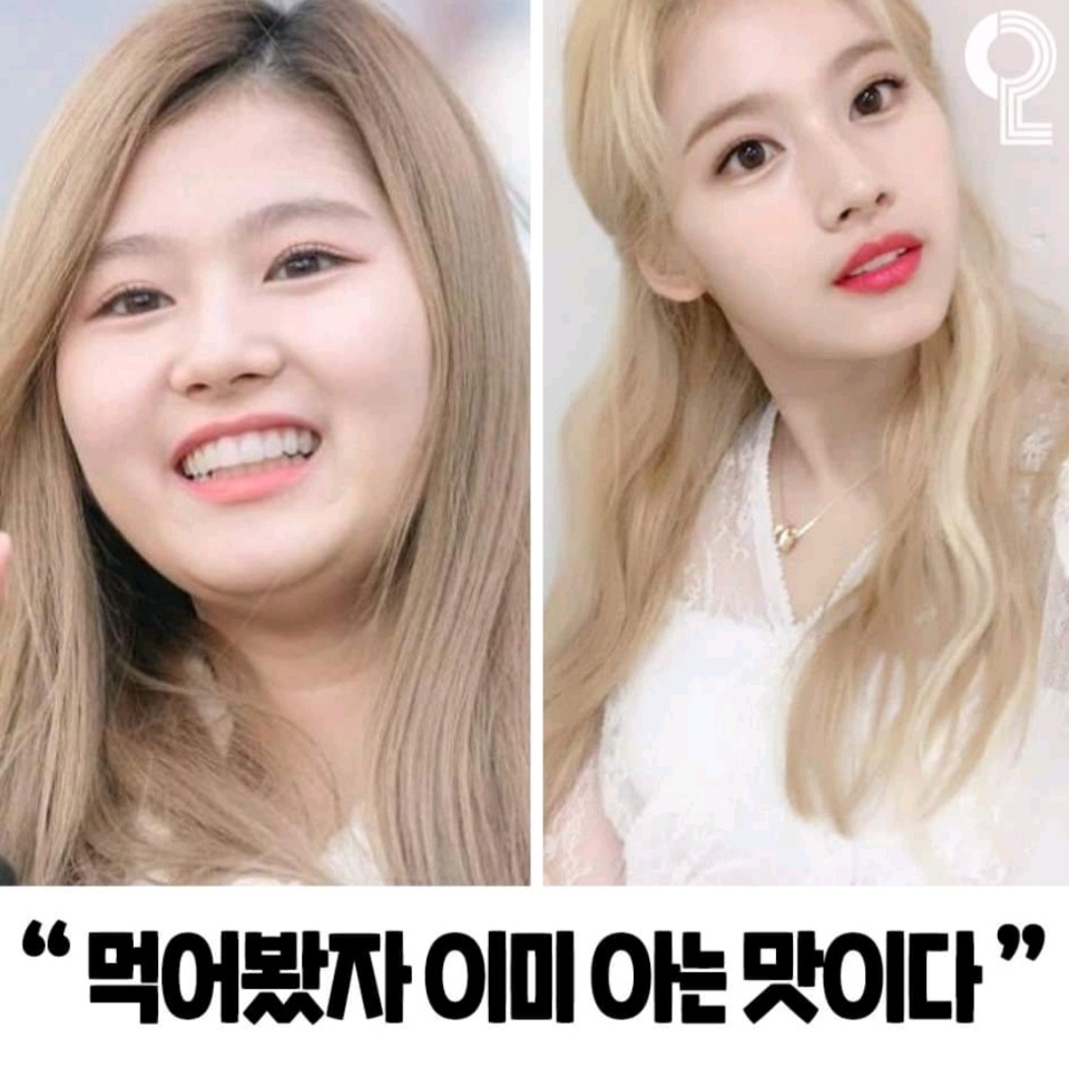 연예인 다이어트명언 재업