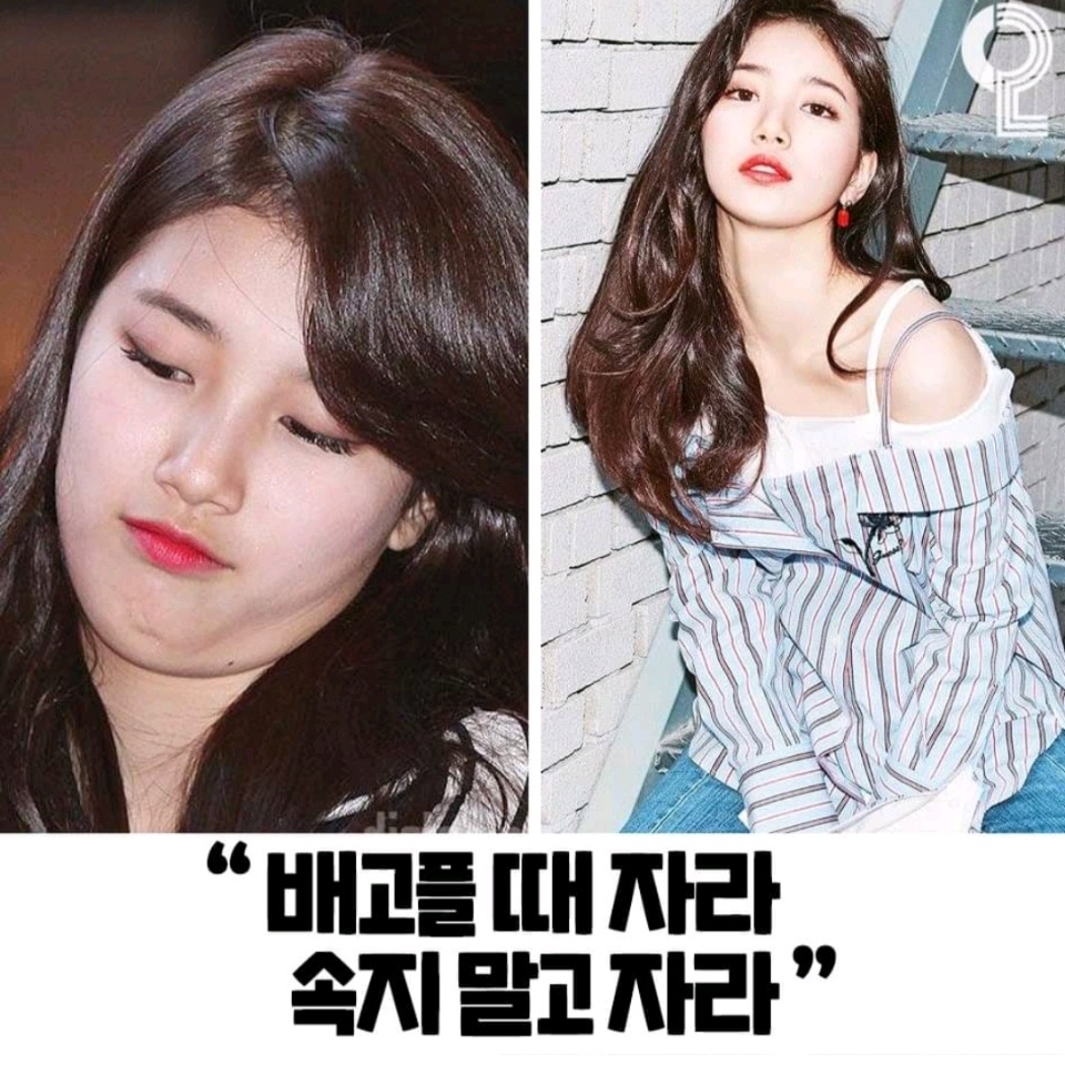 연예인 다이어트명언 재업