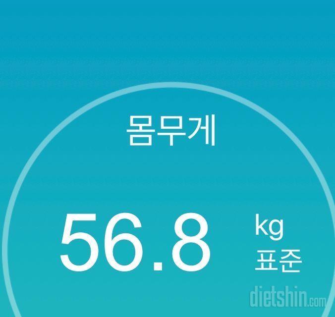 31일차 56kg대 진입!