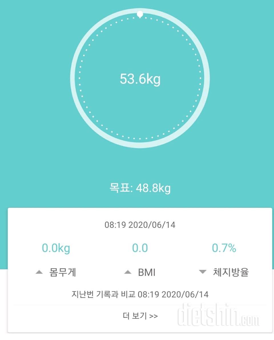 다이어트33일