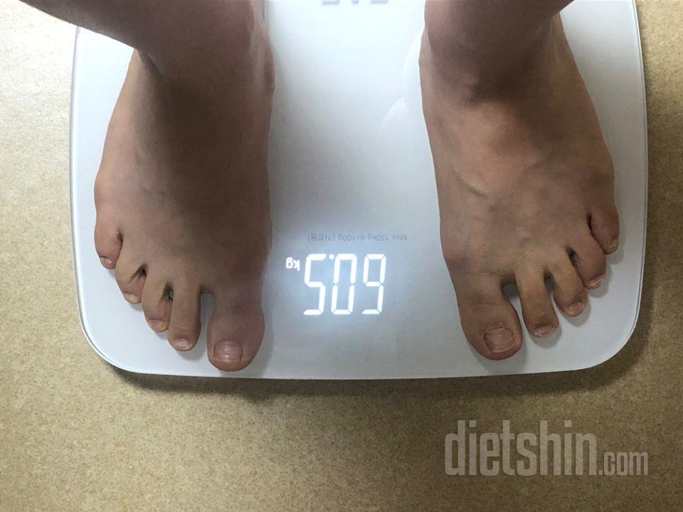 1일차 진행