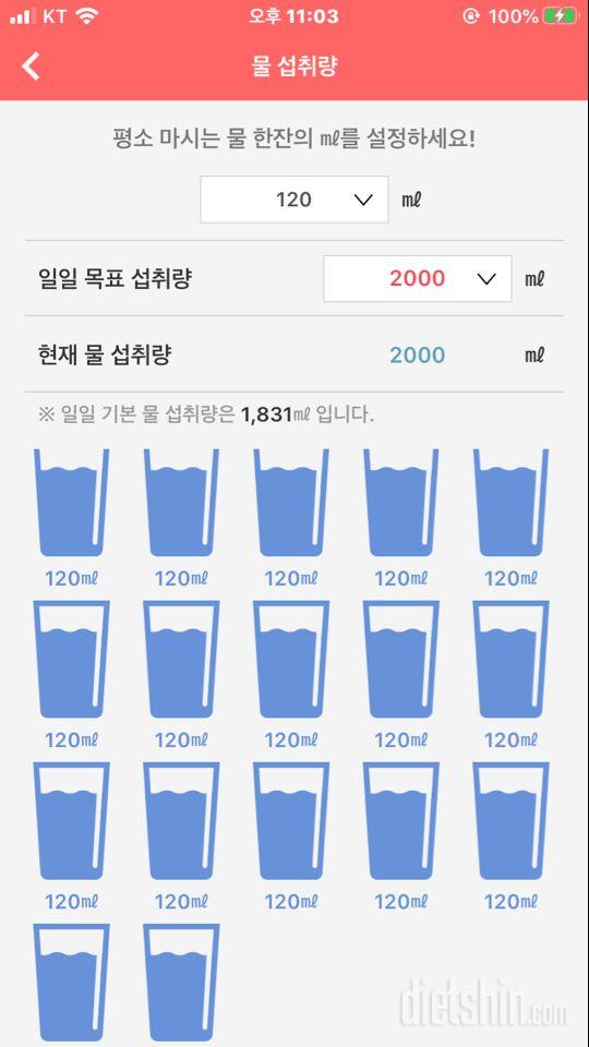 30일 하루 2L 물마시기 31일차 성공!