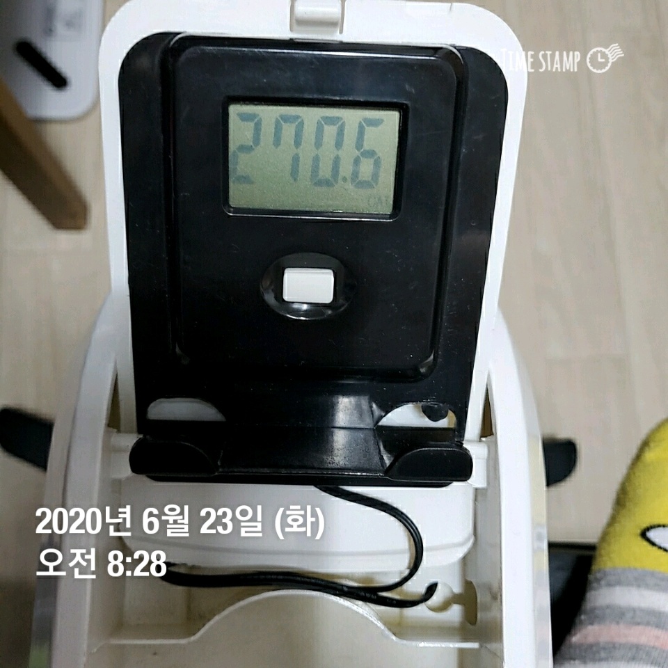 06월 23일( 운동 270kcal)